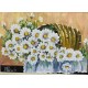 QUADROS DECORATIVOS 20X30 VARIOS MODELOS